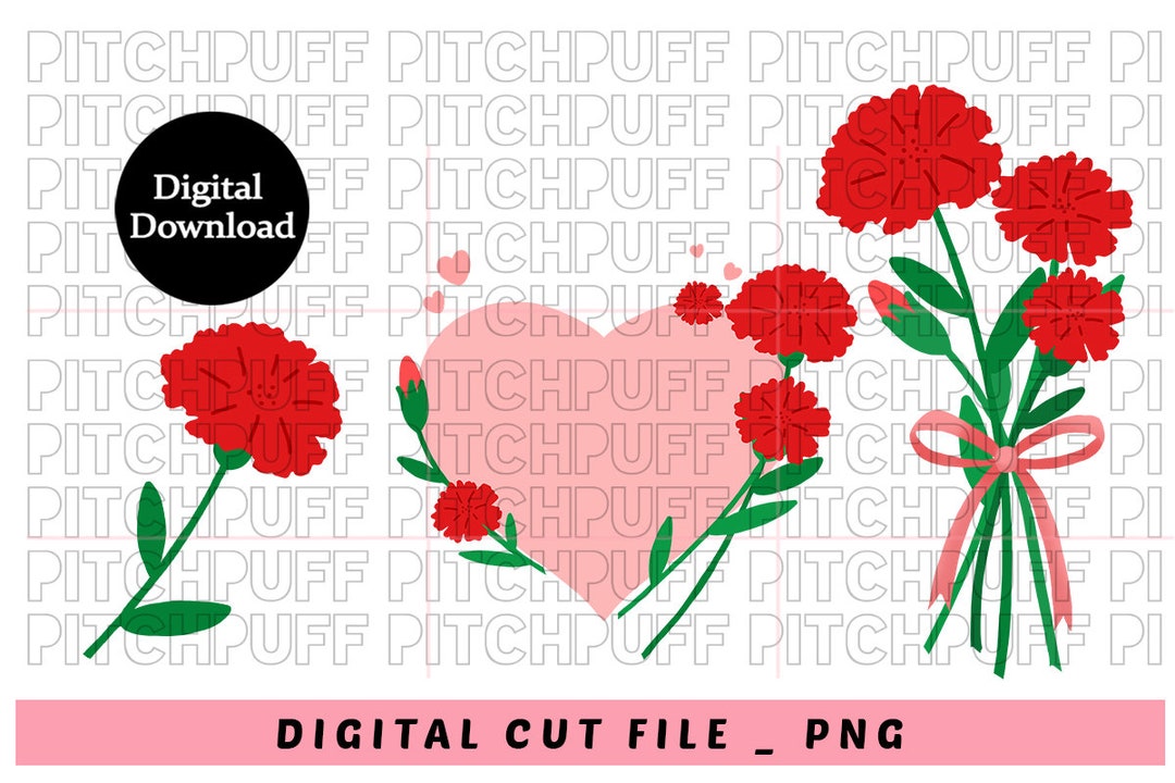 Korea Carnation Flower Clip Art PNG Carnation Clip Art Flower Note Carnation Clipart PNG in