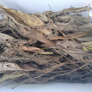 Non-sterilized Mexican Sunflower Leaf Litter