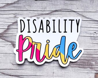 Pansexual Pan Disability Pride Flag LGBTQIA+ Sticker Vinyl Car Decal Disabled Chronic Illness Awareness Spoonie Warrior