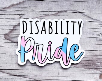 Trans Disability Pride Flag LGBTQIA+ Sticker Vinyl Car Decal Disabled Chronic Illness Awareness Spoonie Warrior
