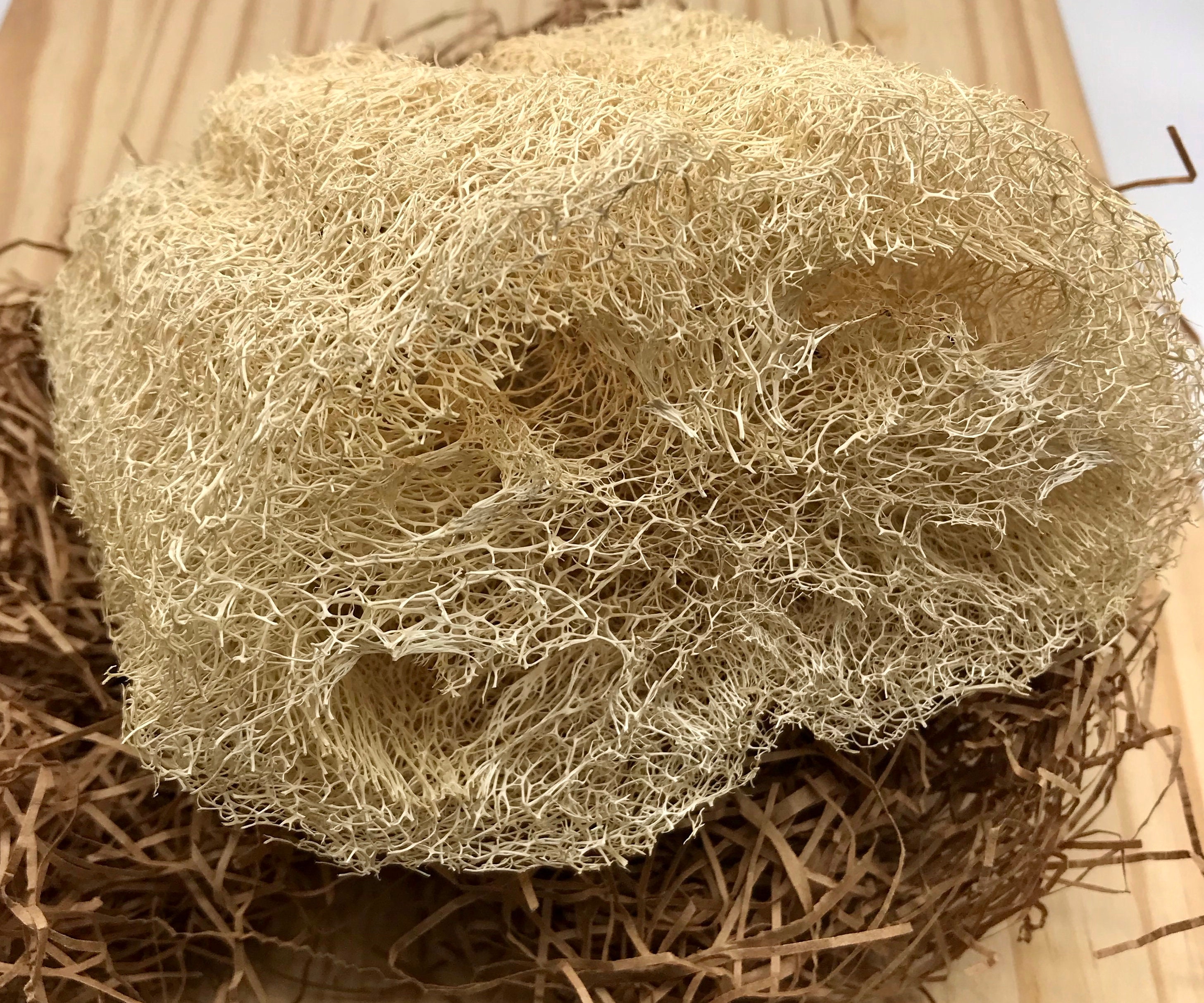 Natural Loofah Sponges Etsy
