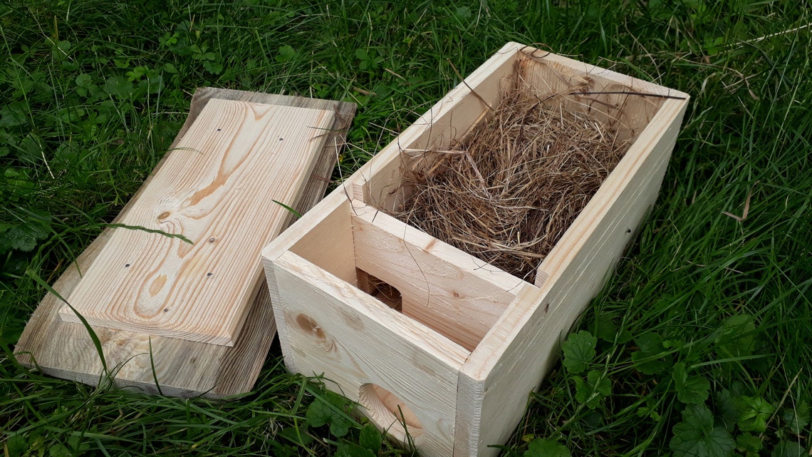 Do Mice Nest In Bird Boxes at Dorothy Baker blog