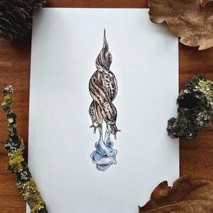 Carte de voeux Escargot Tigre