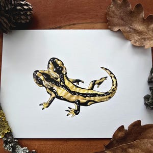 biglietto di auguri salamandra pezzata