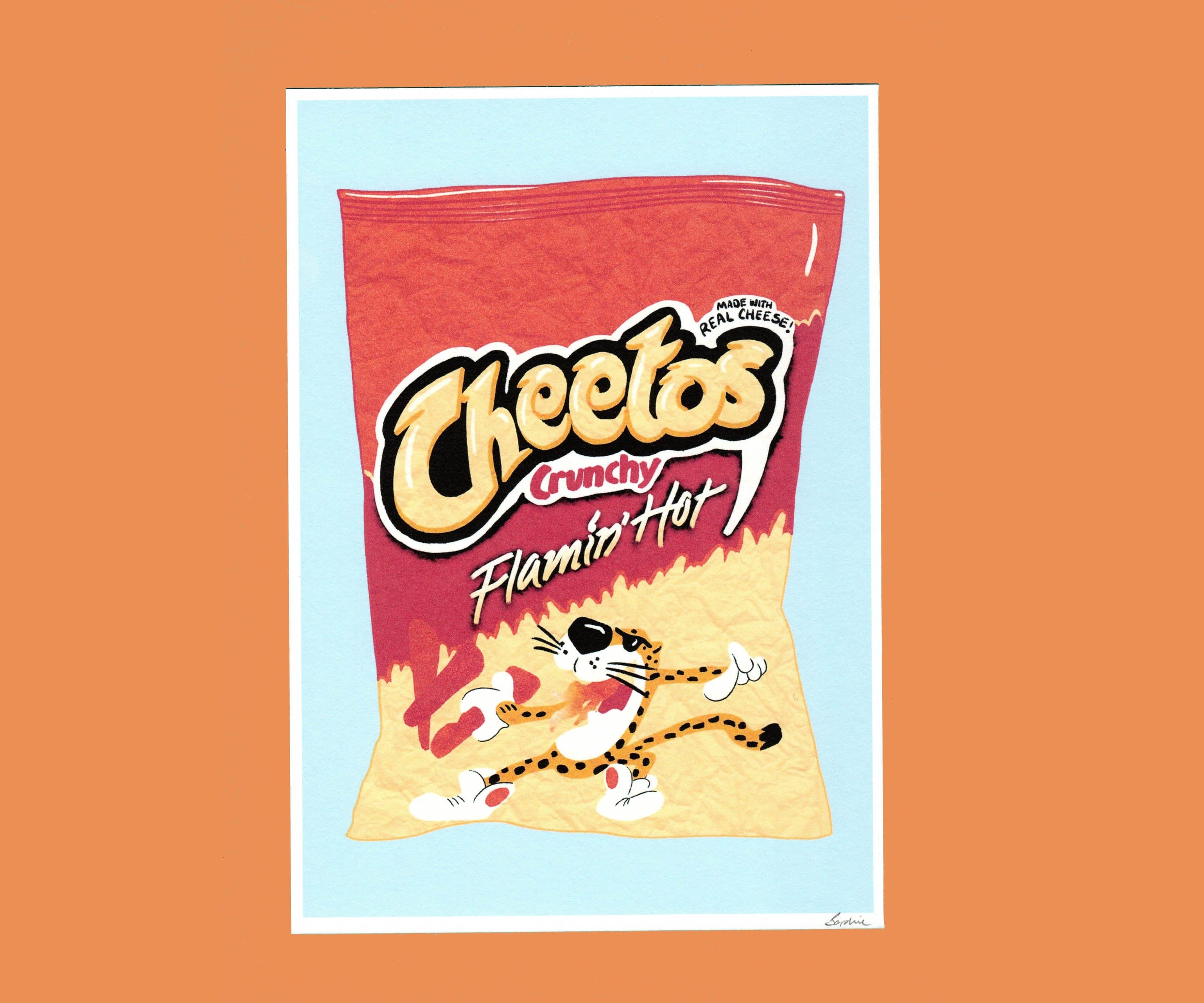 A5 Kunstdruck Cheetos Flamin Hot JunkFoodVerpackung Etsy