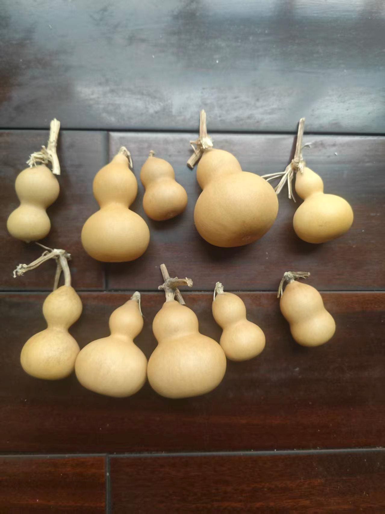 Mini Jourds Natural Dried Mini Gourds Hulu– Feng Shui Ornament or for Crafts 10 Pcs ...