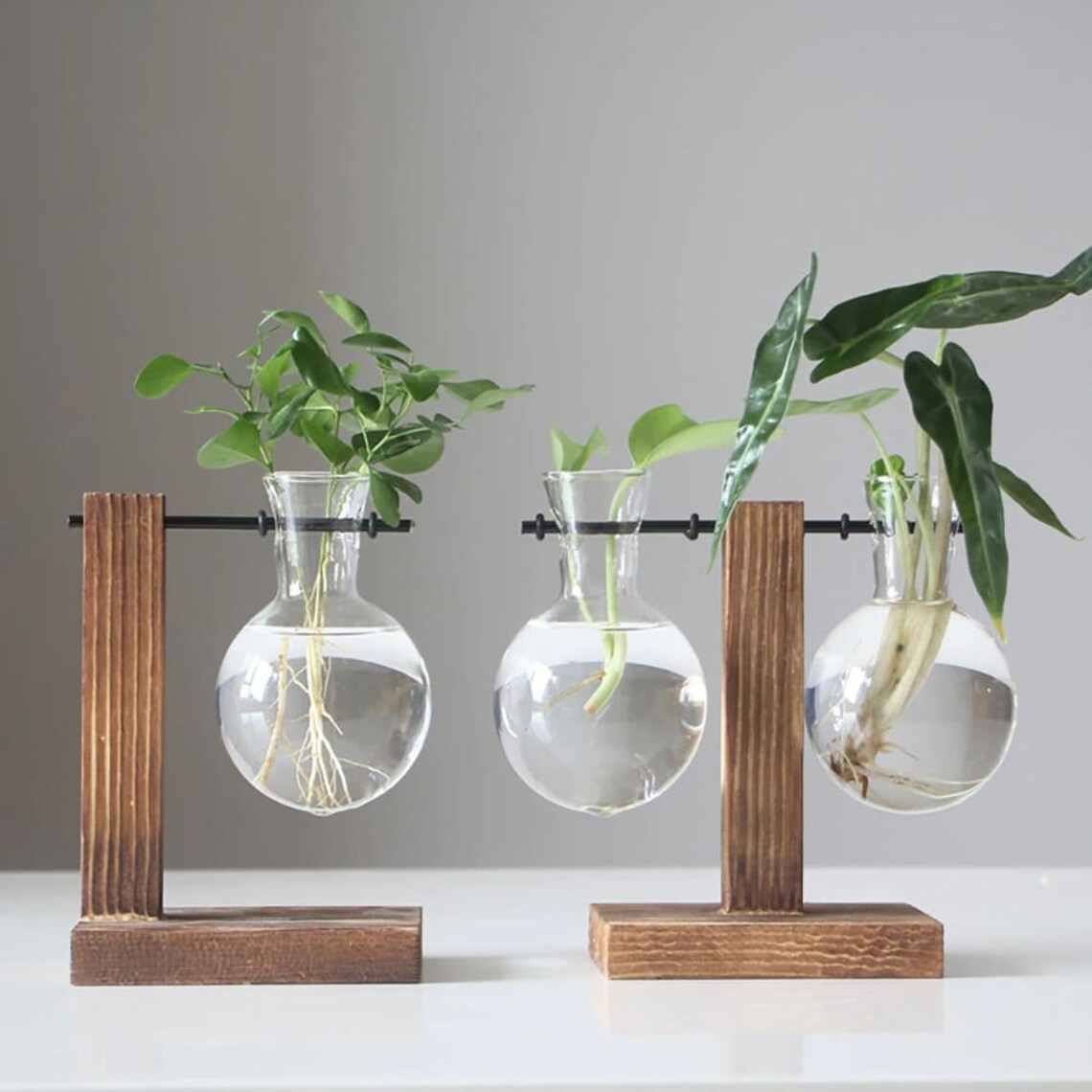 Glass Planter Bulb Vase with Wooden Stand Decorative Etsy