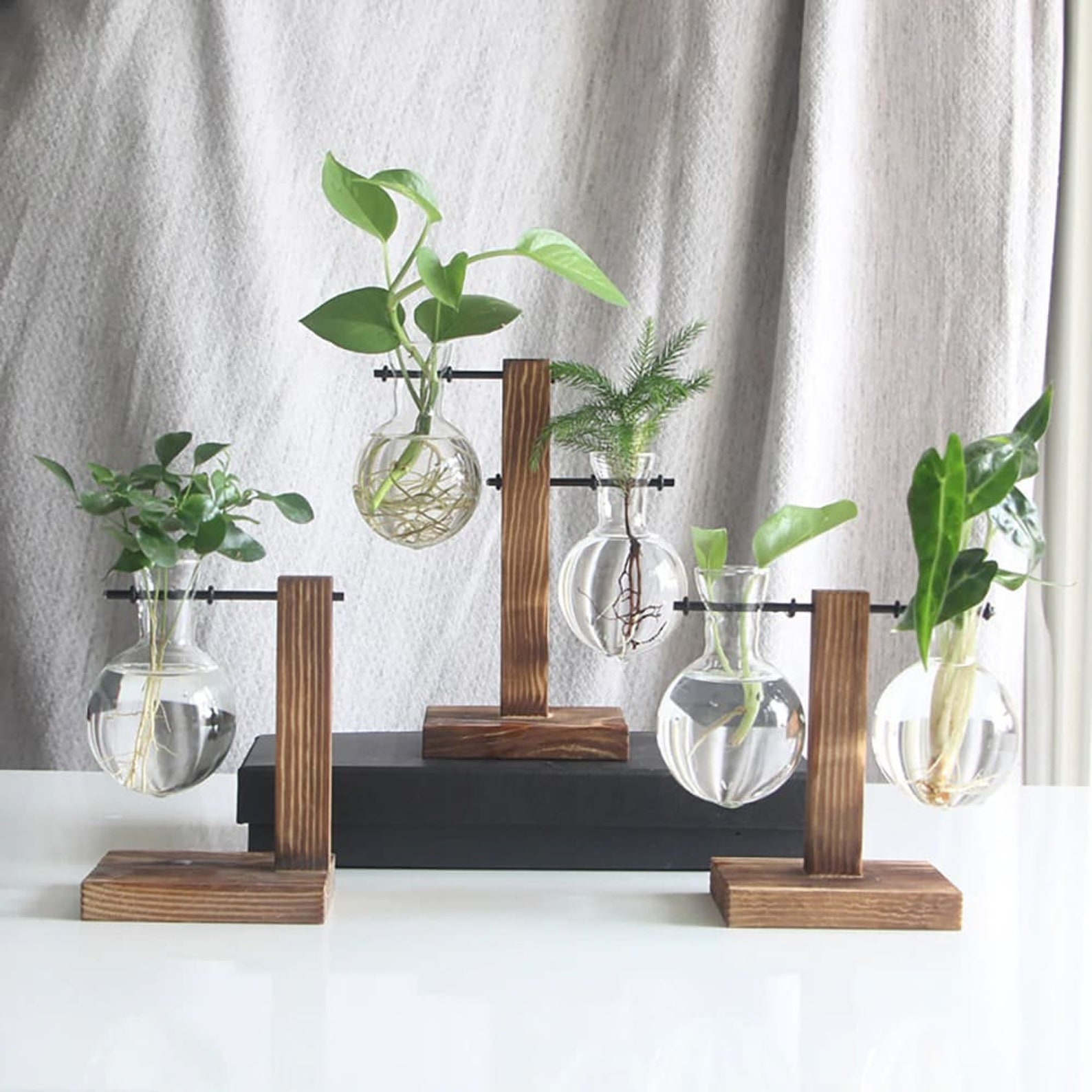 Glass Planter Bulb Vase with Wooden Stand Decorative Etsy