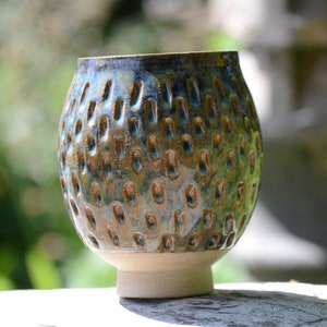 Pineapple planter