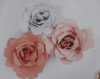 3-D Flower and Leaves Die Cut Sets