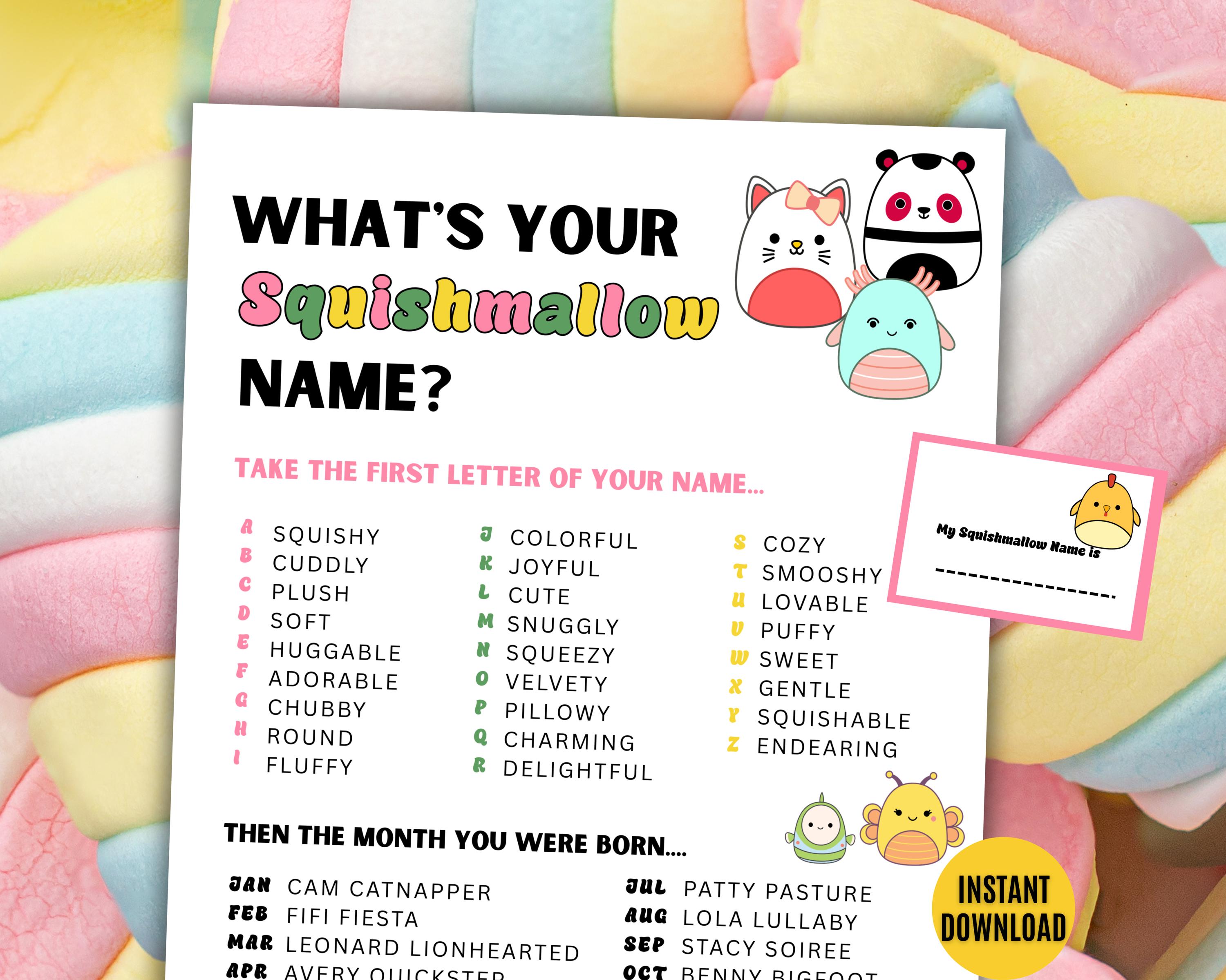 What's Your Squishmallow Name Game NAME TAGS + SIGN, Squishmallow