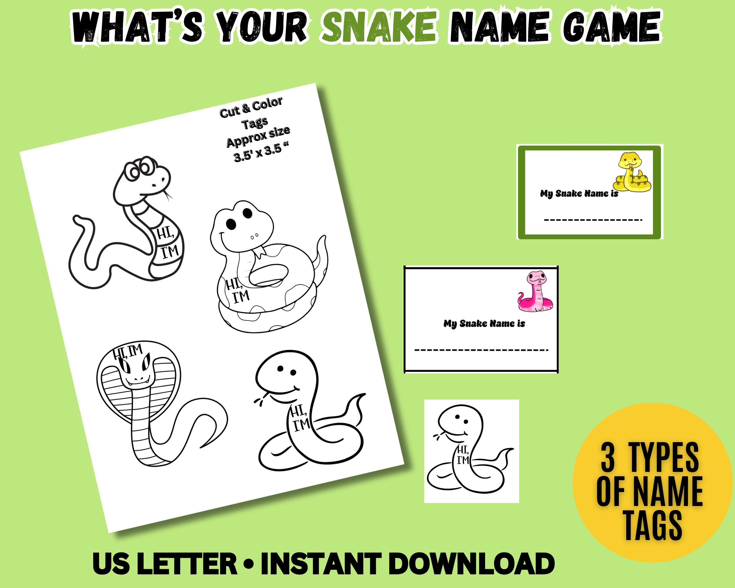 What's Your Snake Name Game With Party SIGN & NAME Tags, Name Generator ...