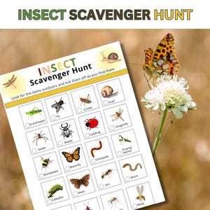 À imprimer, Chasse aux insectes, Chasse au trésor de la nature en plein air, Jeux de camping pour enfants, Apprentissage, École maternelle, Tout-petit, Jeu amusant de vacances en famille