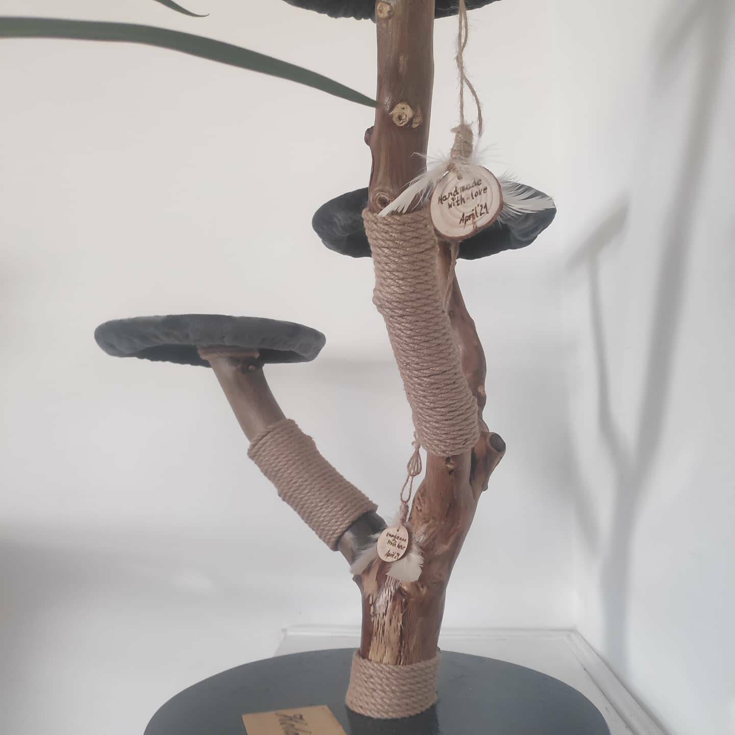 Custom Order Cat Tree Natural Cat Tree Cat Scratcher Cat Etsy UK
