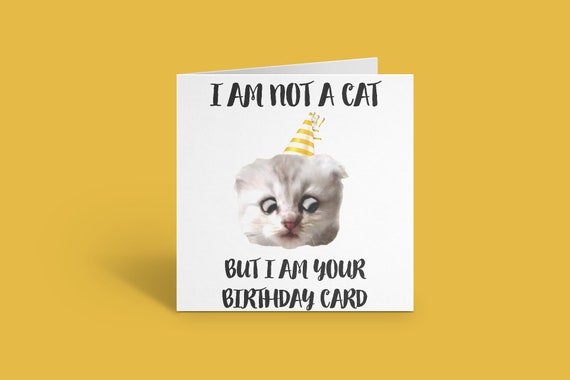 Cat Zoom Birthday Card Funny Cat Zoom Call I Am Not A Cat Etsy