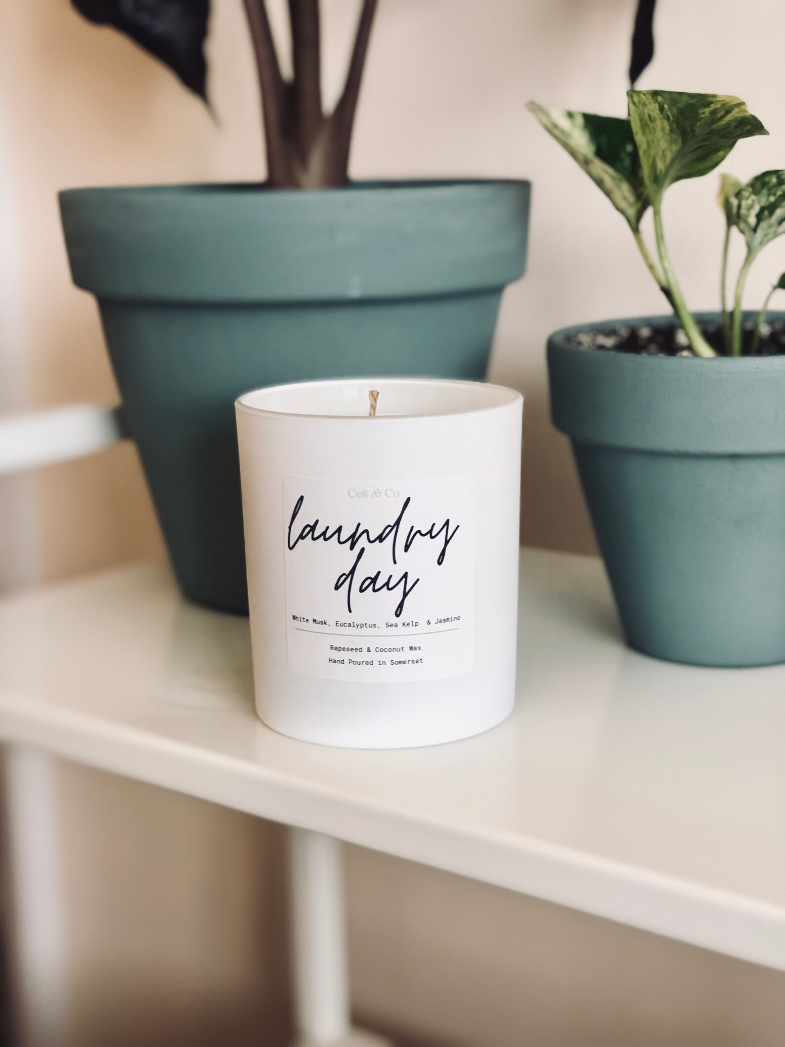 Laundry Day Candle Clean Cotton Scented candle Matt White Etsy