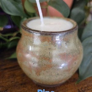 May include: A small, handmade candle in a rustic ceramic pot. The candle has a white wax and a single wick. The pot is a mottled green and brown with the word "Pine" in blue text at the bottom. The candle is surrounded by green foliage.