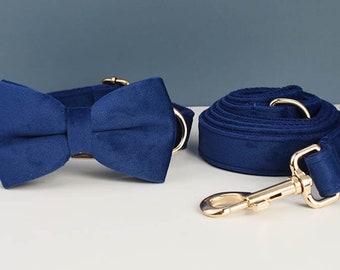 Dog collar with bow tie / harness