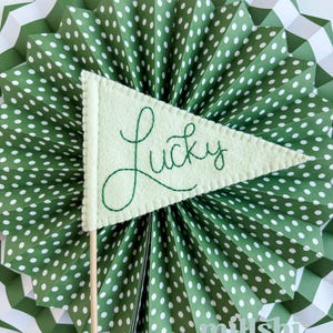 Hand Embroidered Felt St. Patrick’s Day Flag, Lucky Flag