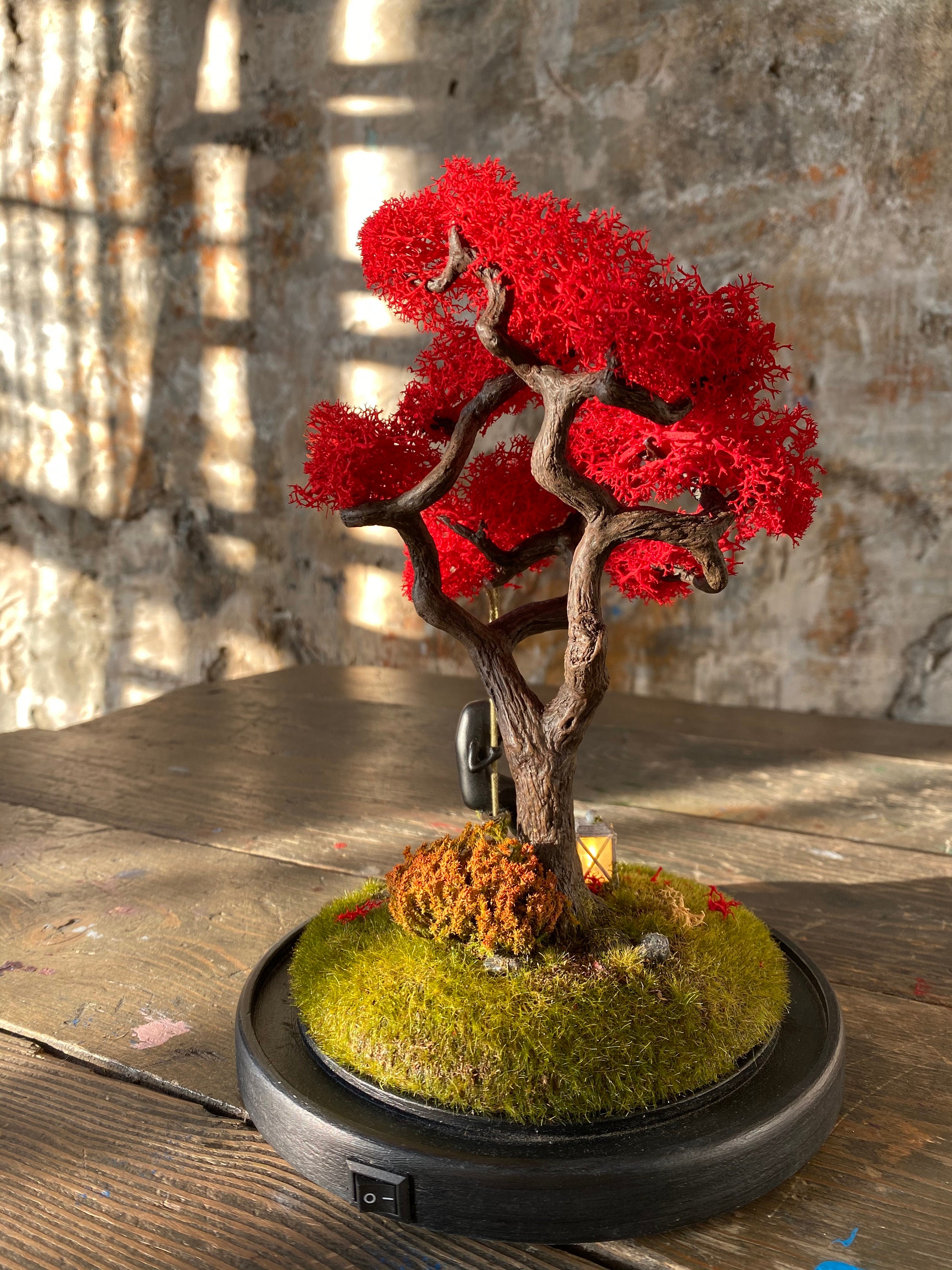 Japanese Maple Tree miniature in a Glass Cloche | Etsy