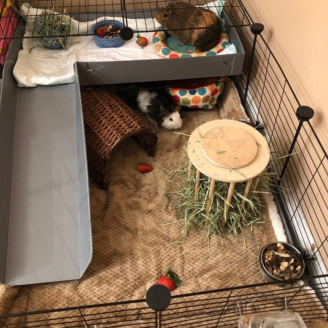 Guinea pig Run House Guinea Pig House Loft Ramp Stairs Etsy