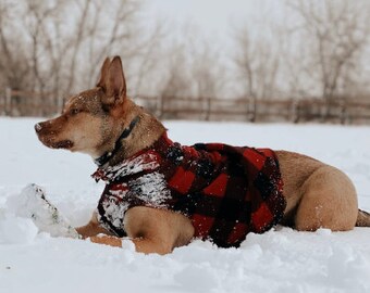 Custom Pet Sweater | Cheer Fleece Base Layer