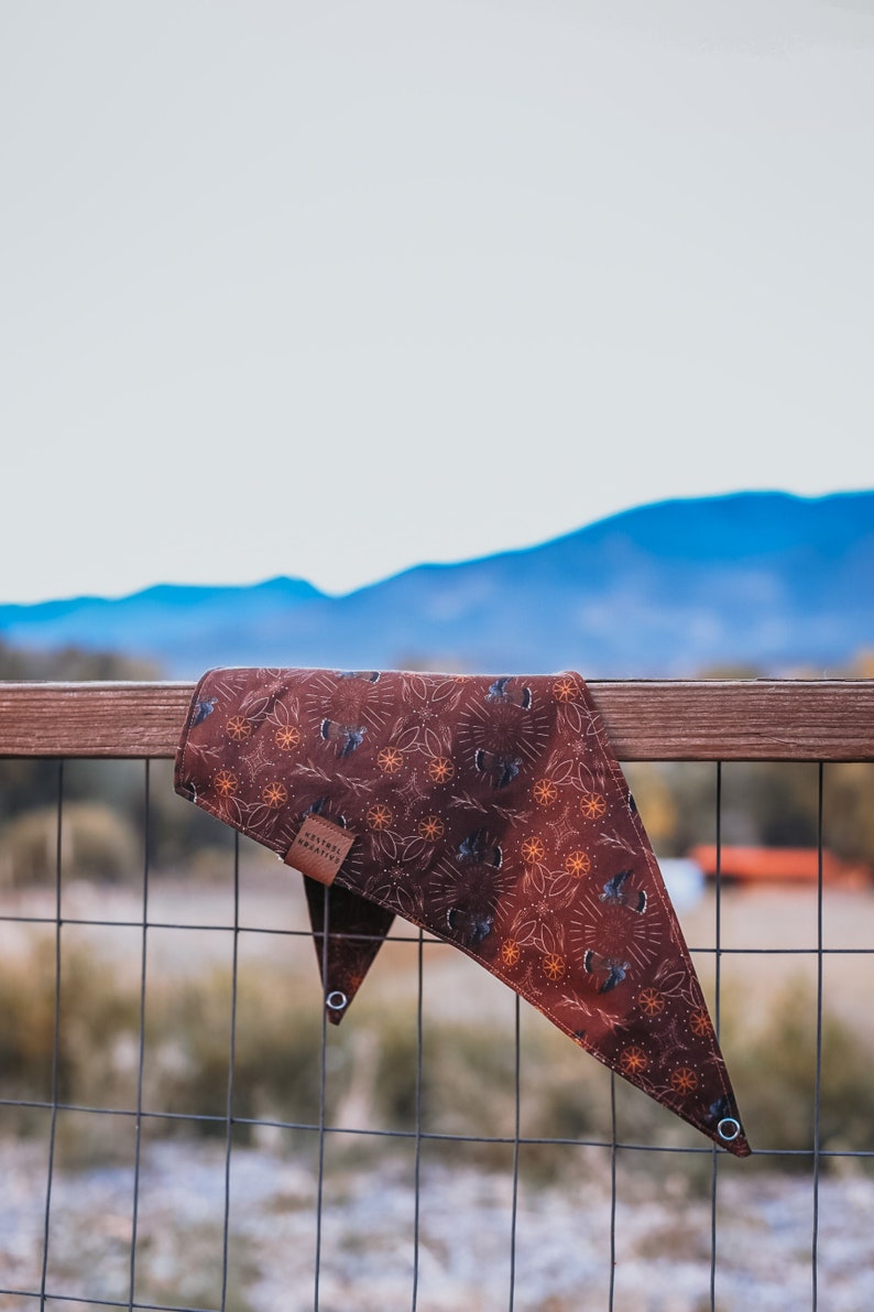 Kestrel Pet Bandana September Bandana Of The Month Ready To Ship image 1