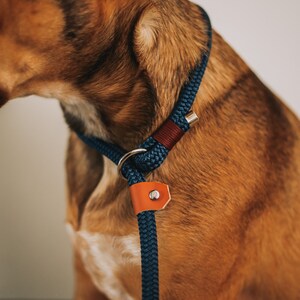 May include: A close-up of a dog wearing a blue rope collar and leash. The collar features a brown leather accent and a silver metal clasp. The dog's fur is brown and tan.