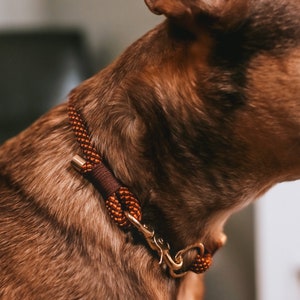 Rope Dog Collar Custom pet collars. image 4