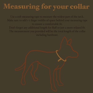 Rope Dog Collar Custom pet collars. image 7