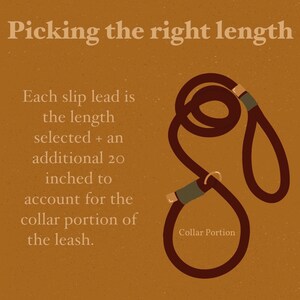 May include: An illustration on a tan background with the text "Picking the right length." A brown slip lead is shown, with text explaining the length selected plus an additional 20 inches for the collar portion. The collar portion is labeled.