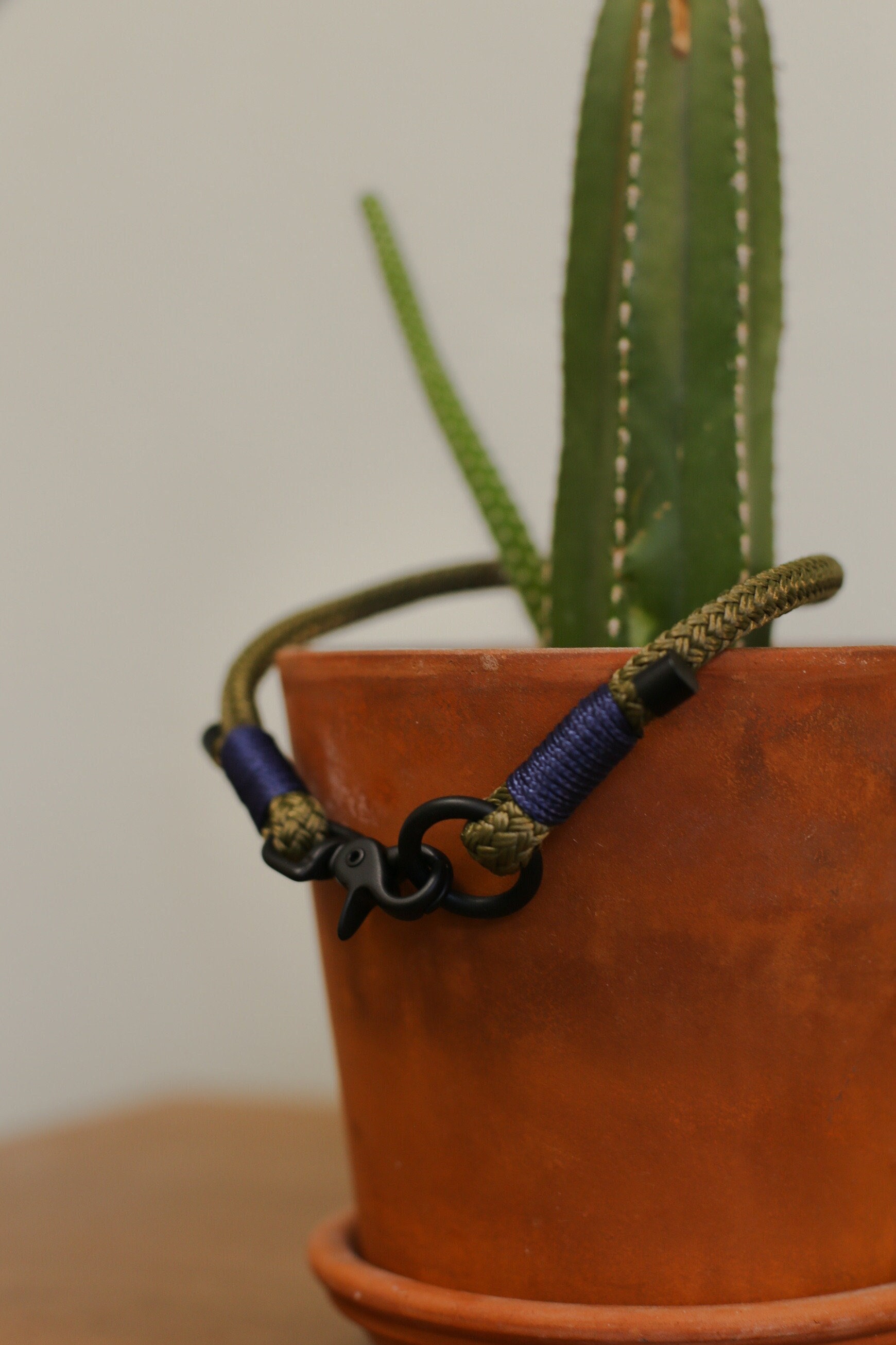 Olive 8mm Rope Dog Collar | Custom | Small Dogs