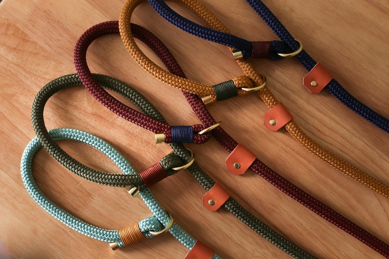 May include: A collection of colorful dog leashes in various shades, including blue, green, and brown. Each leash is made of a thick, braided rope and features a brass ring and a leather accent. The leashes are arranged on a wooden surface.