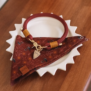 May include: A red rope dog collar with a gold metal tag that says "Tally" on it. The collar is on a white plate with a brown and orange bandana with a floral pattern.