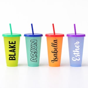 Personalized Color Changing Tumbler 24oz: Reusable Plastic Cup with Lid & Straw