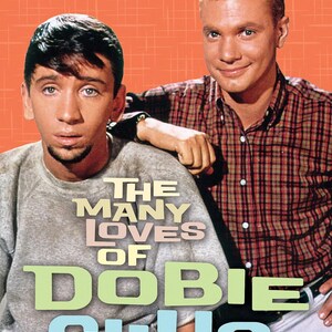 The Many Loves of Dobie Gillis: The Complete Series [DVD, 20 Disc Set] Region 1 for US/Canada, New & Sealed, Free US Shipping