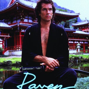 Raven: Complete Series [DVD, 4-Disc Set] Region 1 for US/Canada, New & Sealed, Perfect Gift for Movie Lovers, Free US Shipping