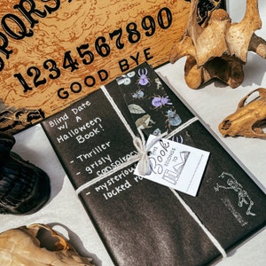 Blind Date with a Halloween Book Mystery Book Horror Thriller Ghost Witch Paranormal Books Great Gift for a Reader or Book Lover image 1