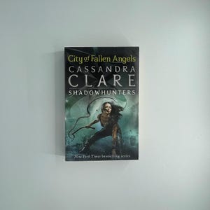 May include: A paperback book titled "City of Fallen Angels" by Cassandra Clare, part of the Shadowhunters series. The cover features a woman holding a whip, with the text "New York Times bestselling series" at the bottom.
