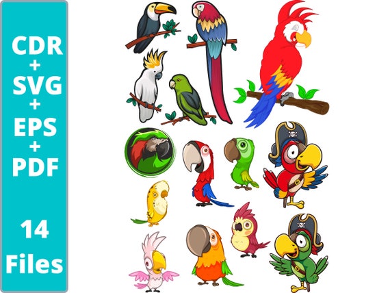 Cockatoo Svgparrots Clipartparrot Vectorparrot Svgforest - Etsy Israel Cockatoo Svgparrots Clipartparrot Vectorparrot Svgforest - Etsy Israel