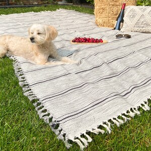 May include: A white and gray striped picnic blanket with fringe edges. A small white dog is lying on the blanket. There are red cherries on a small wooden plate.