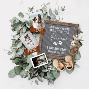 Dog Pregnancy Announcement Digital, Baby Announcement, Pregnancy Reveal, Facebook Instagram Pregnancy Announcement, Pregnancy Flat Lay