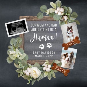 Dog Pregnancy Announcement Digital, Baby Announcement, Pregnancy Reveal, Facebook Instagram Pregnancy Announcement, Pregnancy Flat Lay