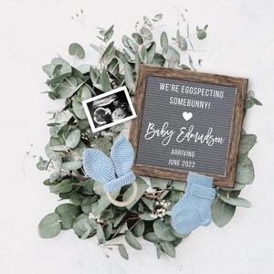 Anuncio de embarazo de Pascua, Anuncio de bebé niño digital para redes sociales, Anuncio de embarazo de Somebunny, Facebook Instagram