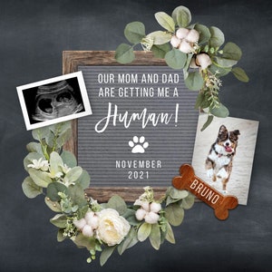 Dog Pregnancy Announcement Digital, Baby Announcement Digital