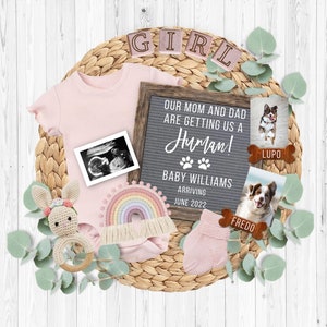 Dog Pregnancy Announcement Digital, Rainbow Baby Announcement, Baby Girl Announcement, Pregnancy Reveal, Facebook Instagram Pregnancy