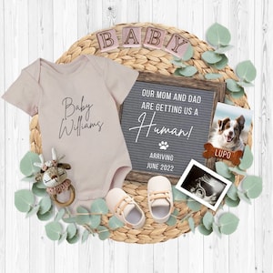 Pregnancy Announcement Digital, Baby Announcement DOG theme, Reveal due date, Mom Dad are getting us a Human, Pregnancy Reveal