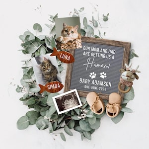 Anuncio de embarazo digital, Anuncio de bebé con temática de dos gatos, Revelación de embarazo, Revelación de fecha de parto, Mamá y papá nos traerán un bebé humano.