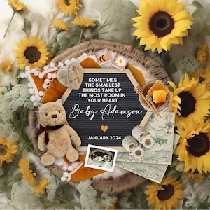 Winnie the Pooh Pregnancy Announcement, A Grand Adventure Baby Reveal Template, First Pregnancy Reveal, Pregnancy Flat Lay, Pooh Bear Baby