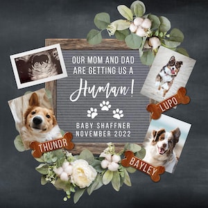 3 Dogs Pregnancy Announcement Digital, Baby Announcement, Pregnancy Reveal, Facebook Instagram Pregnancy Announcement, Pregnancy Flat Lay